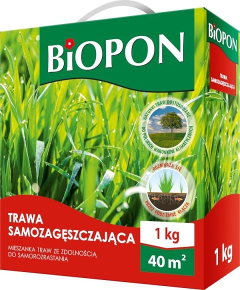 TRAWA SAMOZAGĘSZCZAJĄCA 1 KG BIOPON